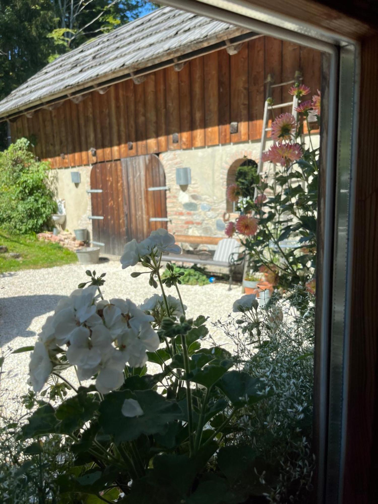 Ferienwohnung Waldhauser 헤르마고 외부 사진